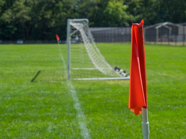 类似浙江队 类似浙江队